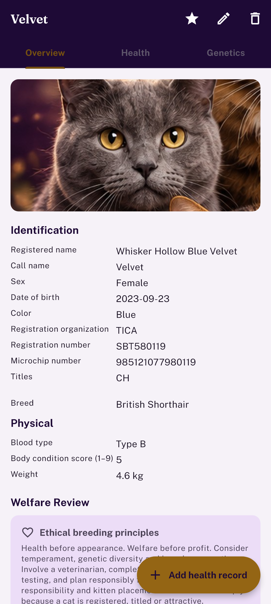 Cat Breeders — a British Shorthair queen's profile with registry, microchip and blood type