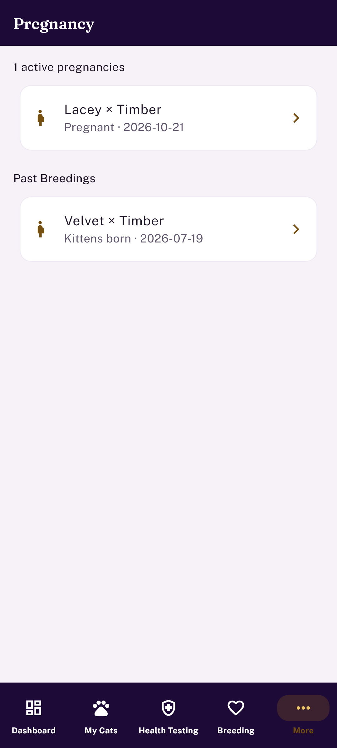 Cat Breeders — pregnancy tracker with active and past breedings